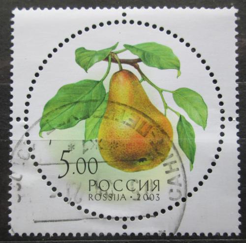 Poštová známka Rusko 2003 Hruška Mi# 1114 