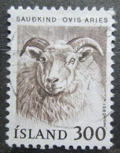 Poštová známka Island 1982 Ovce Mi# 580