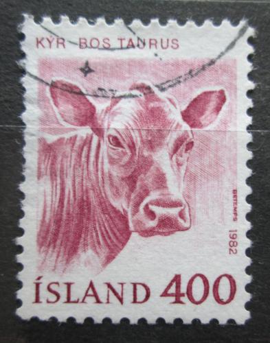 Poštová známka Island 1982 Tur domácí Mi# 581