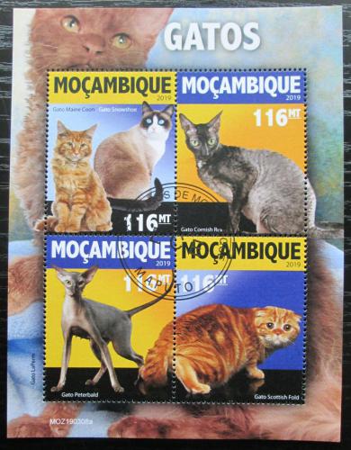 Poštové známky Mozambik 2019 Maèky Mi# N/N