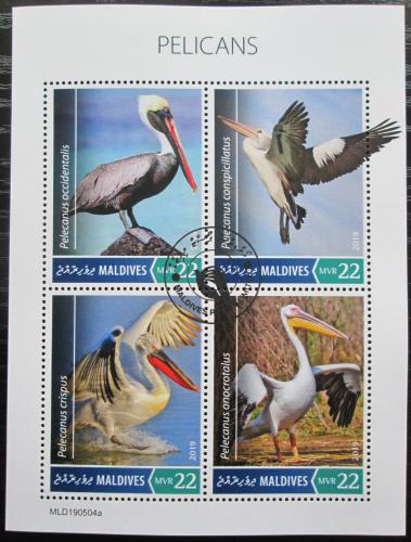 Poštové známky Maldivy 2019 Pelikáni Mi# 8466-69 Kat 11€