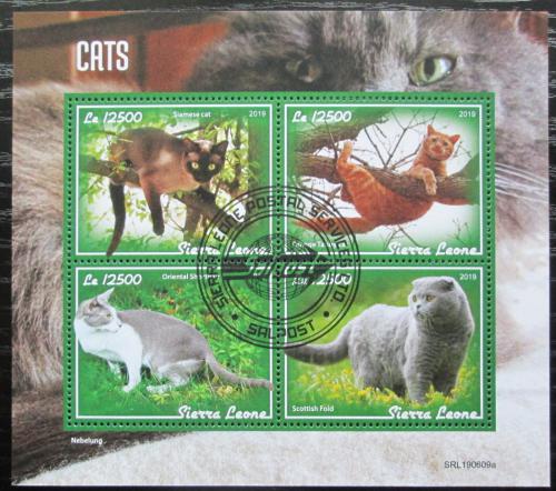 Poštové známky Sierra Leone 2019 Maèky Mi# N/N