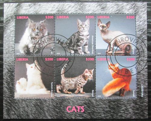 Poštové známky Libéria 2020 Maèky Mi# N/N