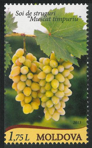 Poštová známka Moldavsko 2013 Vinná réva Mi# 849