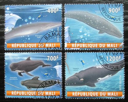 Poštové známky Mali 2020 Ve¾ryby Mi# N/N