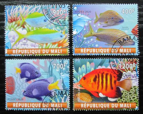 Poštové známky Mali 2020 Ryby Mi# N/N