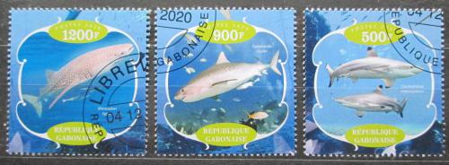 Poštové známky Gabon 2020 Žraloky Mi# N/N
