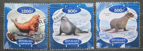 Poštové známky Gabon 2020 Tulene Mi# N/N