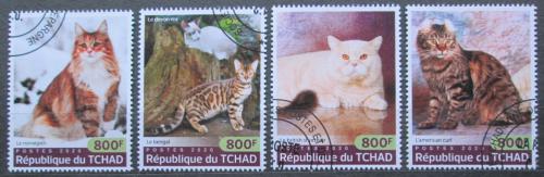 Poštové známky Èad 2020 Maèky Mi# N/N
