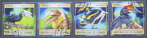 Poštové známky Guinea 2016 Zoborožcovití ptáci Mi# 11811-14 Kat 16€