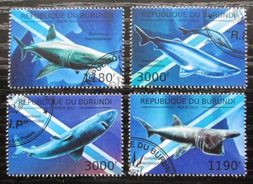 Poštové známky Burundi 2012 Žralok malohlavý Mi# 2635-38 Kat 10€