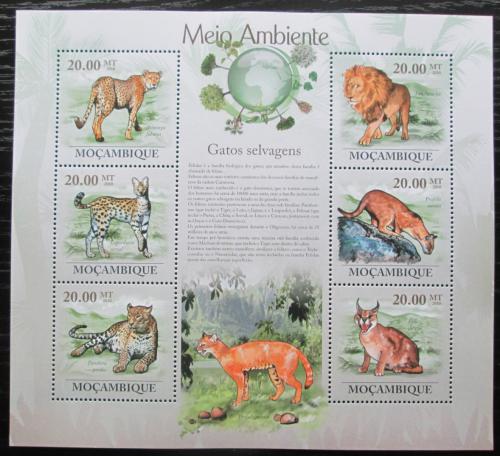 Poštové známky Mozambik 2010 Maèkovité šelmy Mi# 3566-71