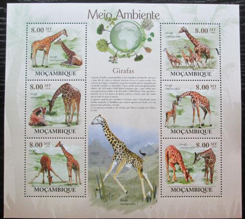 Poštové známky Mozambik 2010 Žirafy Mi# 3530-35
