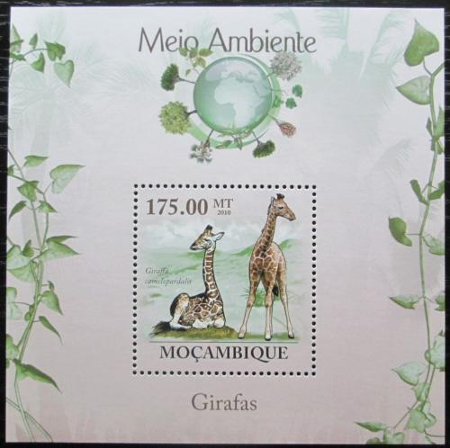 Poštová známka Mozambik 2010 Žirafy Mi# Block 298 Kat 10€