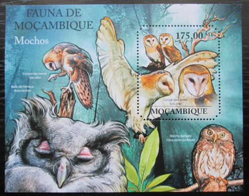 Poštová známka Mozambik 2011 Sovy Mi# Block 504 Kat 10€