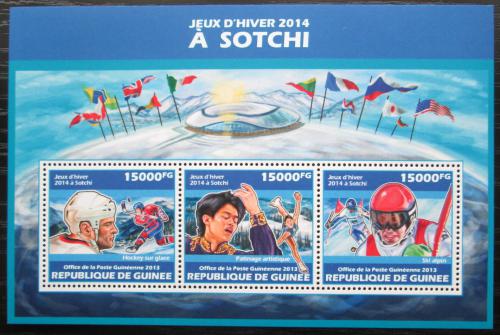 Poštové známky Guinea 2013 ZOH Soèi Mi# 10205-07 Kat 18€