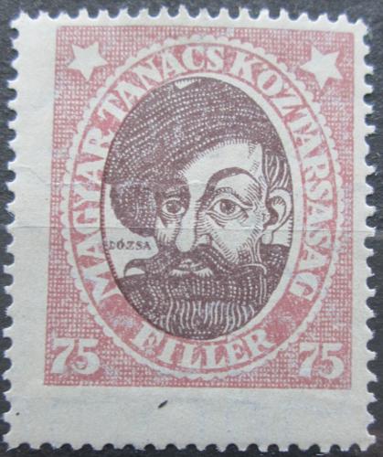 Poštová známka Maïarsko 1919 György Dózsa Mi# 264 Y Kat 5.50€