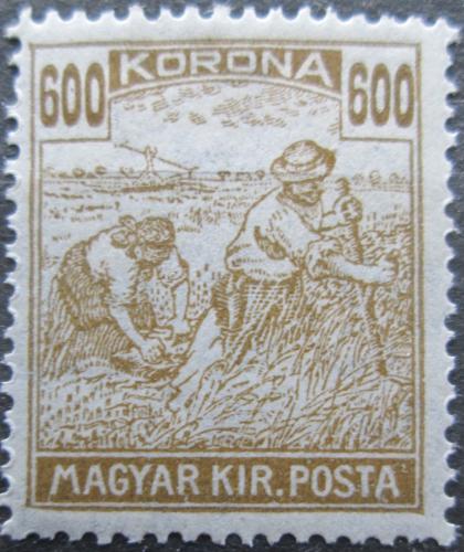 Poštová známka Maïarsko 1924 Sekáè Mi# 353