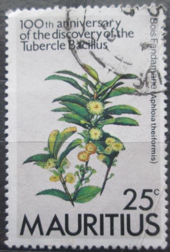 Poštová známka Mauricius 1982 Aphloia theiformis Mi# 549