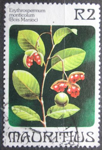 Poštová známka Mauricius 1981 Erythrospermum monticolum Mi# 508