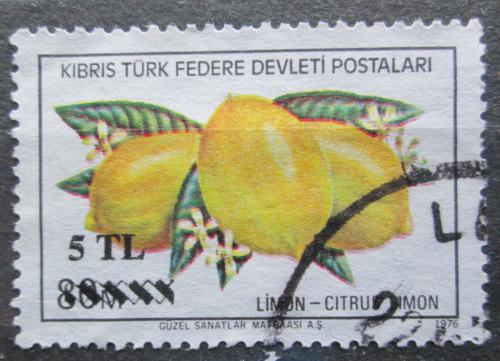 Poštová známka Cyprus Tur. 1976 Citróny Mi# 33