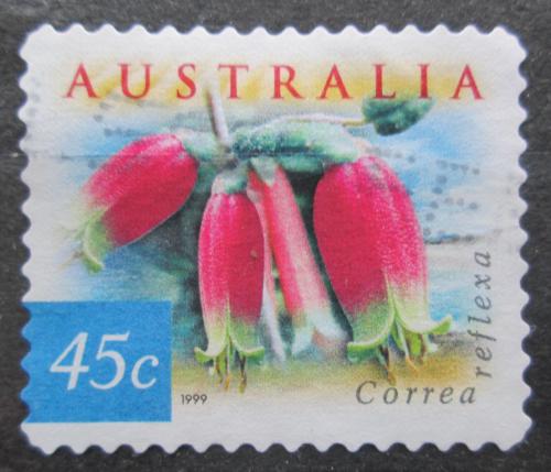 Poštová známka Austrália 1999 Correa reflexa Mi# 1809