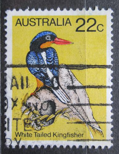Poštová známka Austrália 1980 Ledòáèek rajský Mi# 705