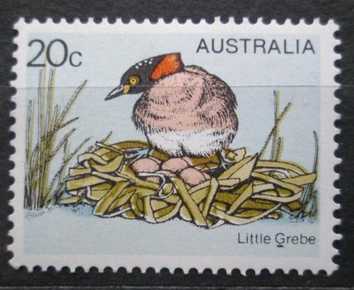 Poštová známka Austrália 1978 Potápka malá Mi# 655