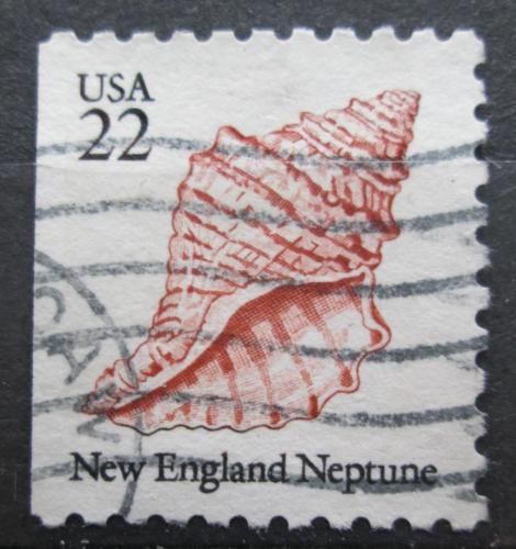 Poštová známka USA 1985 Neptunea decemcostata Mi# 1743 D