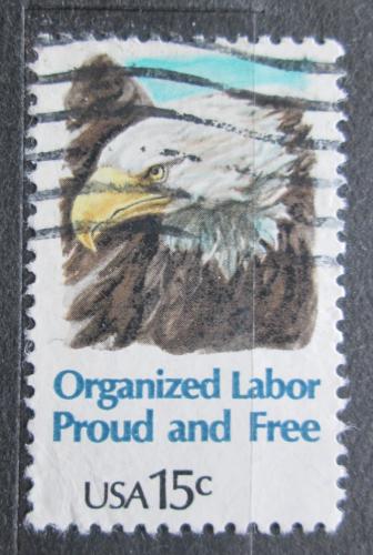 Poštová známka USA 1980 Orol bìlohlavý Mi# 1438
