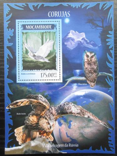 Poštová známka Mozambik 2014 Sovy Mi# Block 899 Kat 10€