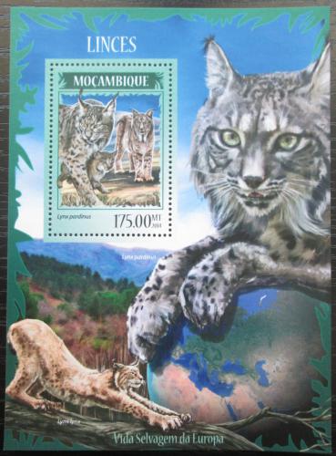 Poštová známka Mozambik 2014 Rysi Mi# Block 912 Kat 10€