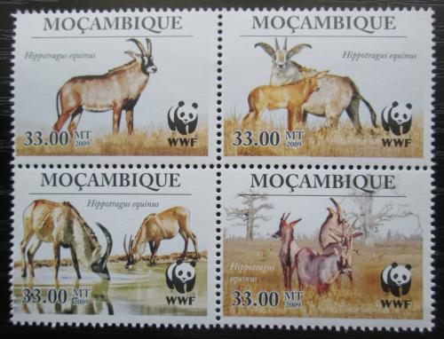 Poštové známky Mozambik 2010 Antilopa koòská, WWF Mi# 3658-61