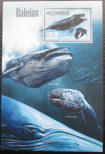 Poštová známka Mozambik 2016 Ve¾ryby Mi# Block 1131 Kat 10€