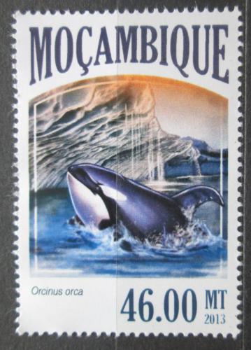 Poštová známka Mozambik 2013 Kosatka dravá Mi# 7069