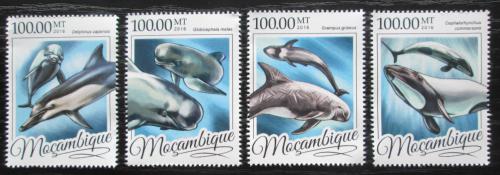 Poštové známky Mozambik 2016 Delfíny Mi# 8599-8602 Kat 22€