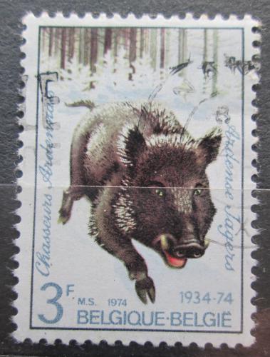 Poštová známka Belgicko 1974 Divoké prase Mi# 1785