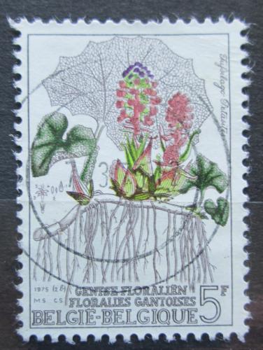Poštová známka Belgicko 1975 Petasites officinalis Mi# 1800