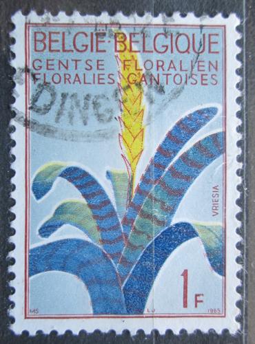 Poštová známka Belgicko 1965 Vriesea splendens Mi# 1375