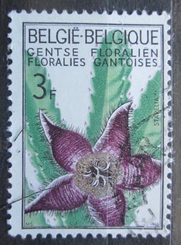 Poštová známka Belgicko 1965 Stapelia hirsuta Mi# 1377