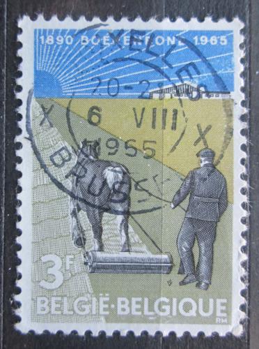 Poštová známka Belgicko 1965 Orba Mi# 1398