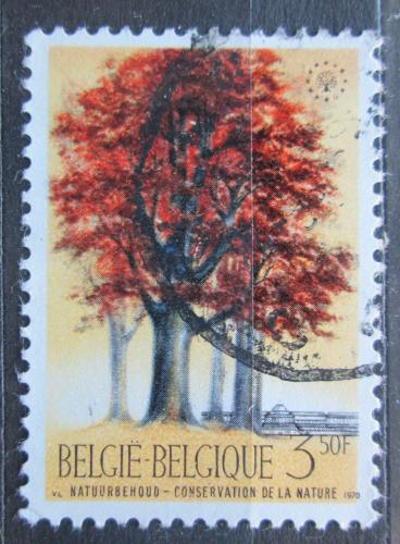 Poštová známka Belgicko 1970 Buk Mi# 1583