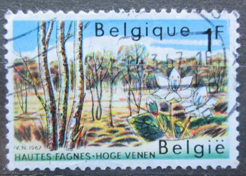Poštová známka Belgicko 1967 Ochrana pøírody Mi# 1468
