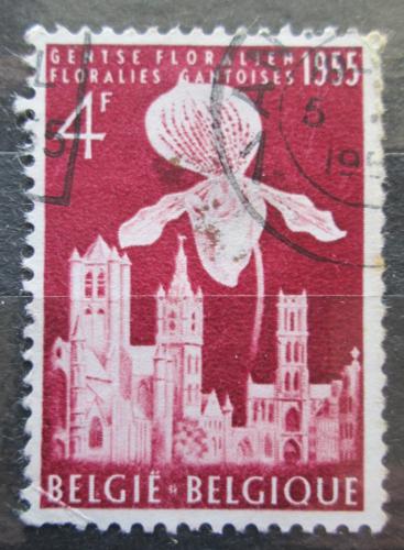 Poštová známka Belgicko 1955 Výstava kvìtin Mi# 1012