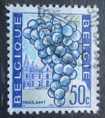 Poštová známka Belgicko 1965 Hrozny Mi# 1410