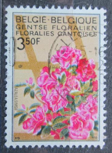 Poštová známka Belgicko 1970 Azalky Mi# 1582