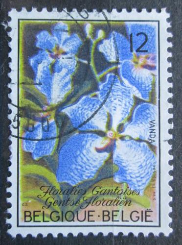 Poštová známka Belgicko 1985 Vanda coerulea, orchidej Mi# 2216