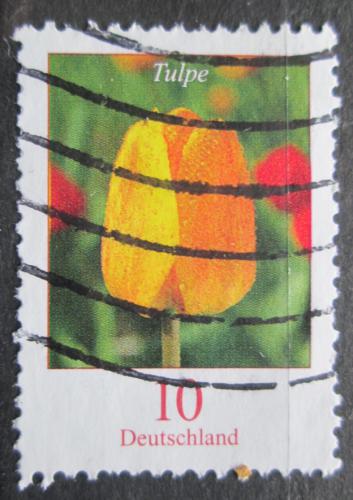 Potov znmka Nemecko 2005 Tulipn Mi# 2484 A - zvi obrzok