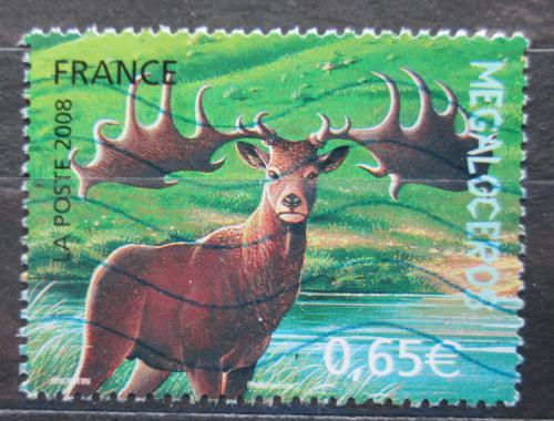Poštová známka Francúzsko 2008 Jelen obrovský Mi# 4404
