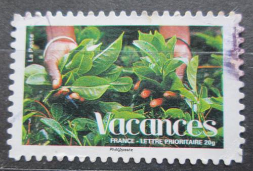Poštová známka Francúzsko 2008 Listy tabáku Mi# 4415